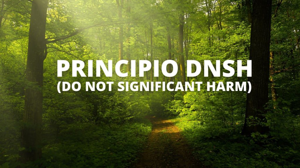 Principio DNSH